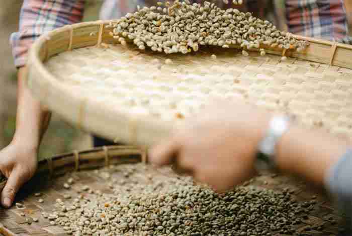 Everything You Need To Know About Dry Sift Hash