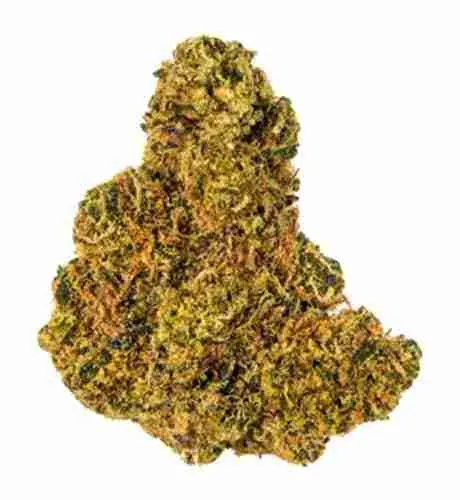 Chem Breath