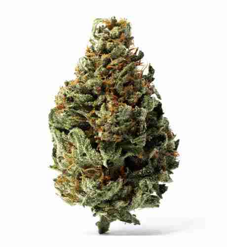 Chong Star
