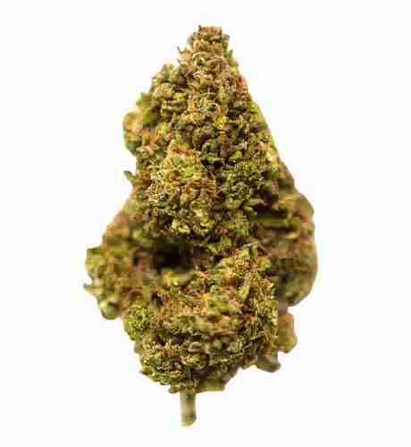Cluster Bomb