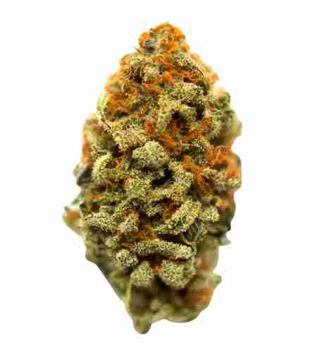 Cobbler