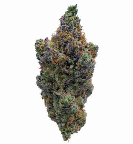 Grape Cough