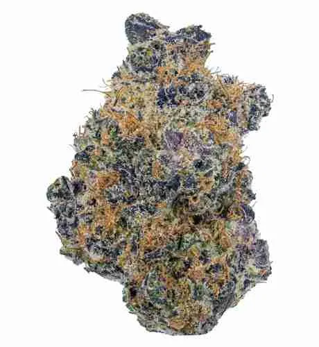 Grape Diesel