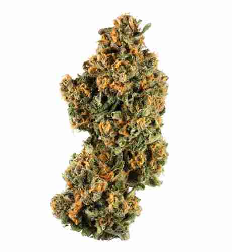 Green Cheese