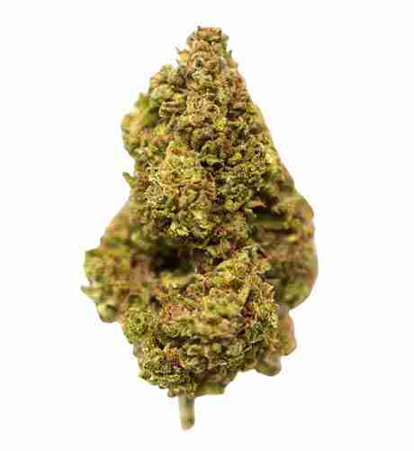 Green Monster