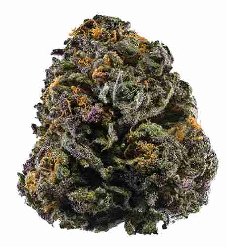 Lemon Kush Headband