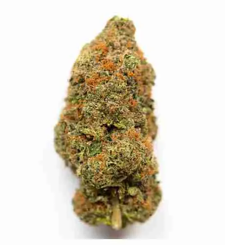ak 48